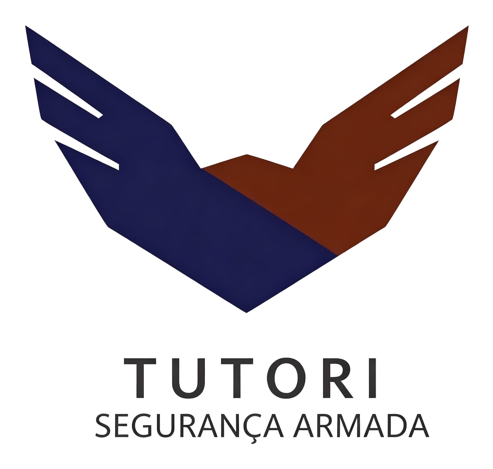 Tutori Segurança Armada